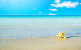 Maximizing your Last Month of Summer